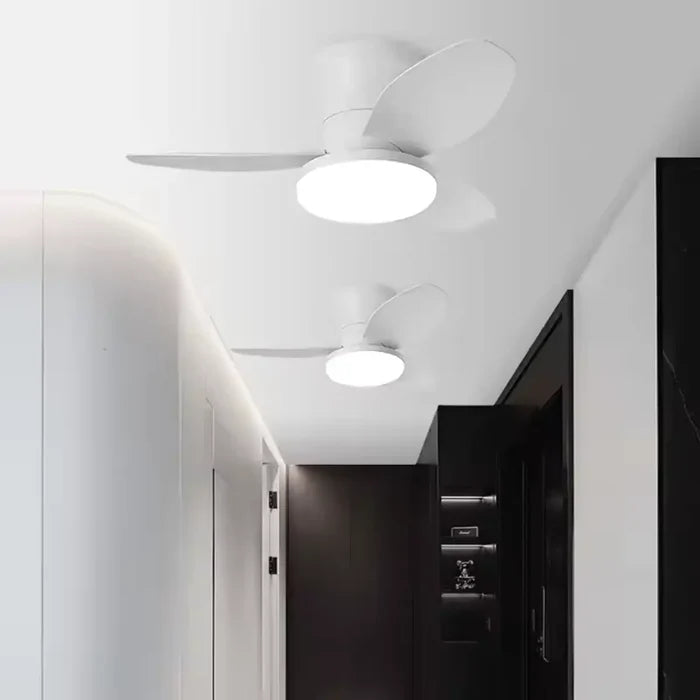 Ventilador de Teto Moderno Compact